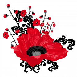 Sticker Coquelicot Design