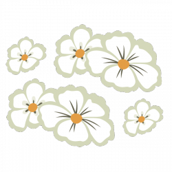 Fleur des ïles