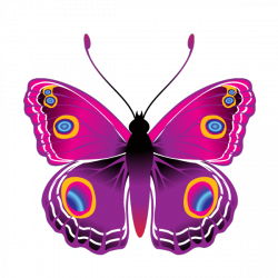 Sticker Papillon violet