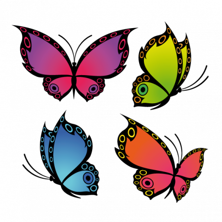 Papillons quatre couleurs