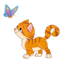 Sticker Chaton et papillon