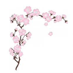 Sticker Sakura cerisier